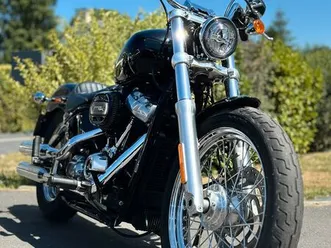 harley davidson softail standard