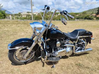 harley davidson softail chicanos