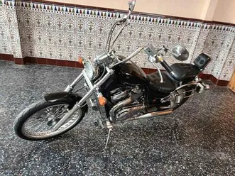 suzuki - intruder 800 vs