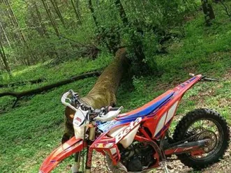 beta rr 300 rok 2019 dzięgielów