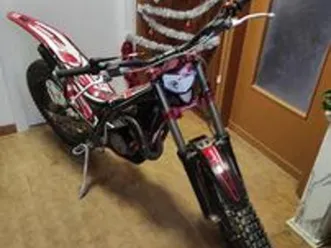 trial gas gas 300 gp