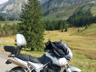 triumph tiger 955i