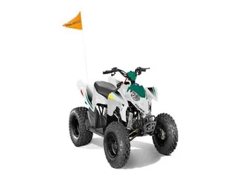 2025 polaris outlaw 110 efi