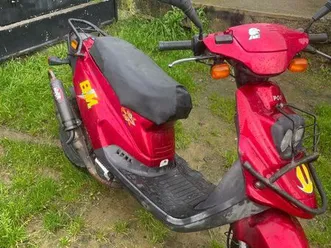 scooter pgo big max