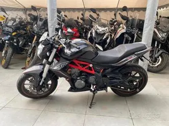 benelli bn 302 - 2017