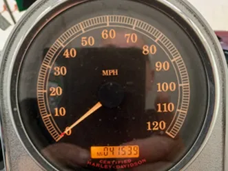 night train springes