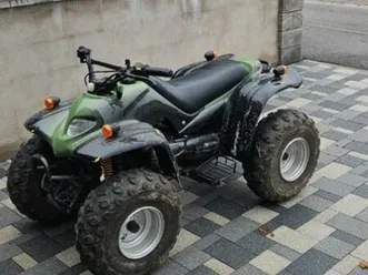 quad adly 100