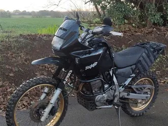 honda dominator 650