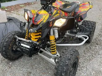 can am 450 ds