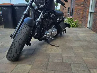 sportster custom 1200