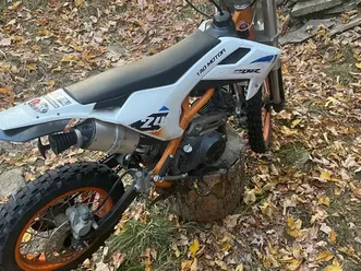 tao minibike (dirtbike)