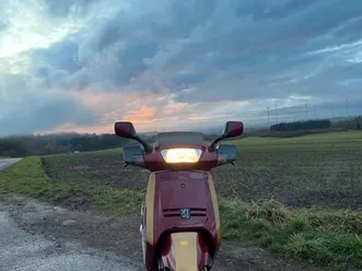 peugeot sv 50 mit papiere