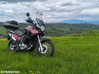 honda transalp