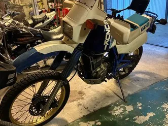suzuki 600 djebel