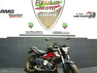 benelli bn 302 - 2017