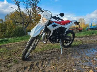 beta 50 cc
