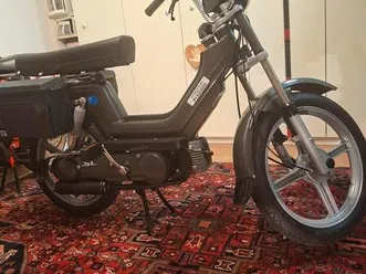 paggio si 50km/h 2 sitzer