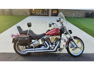2007 screamin' eagle® softail® springer®