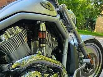 harley-davidson softail v-rod