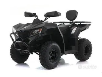 quad cyberroamer 250 cc
