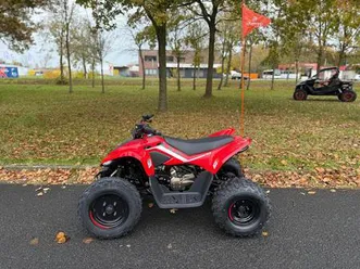 cfmoto cforce 110 cf moto cforce 110 kinderquad