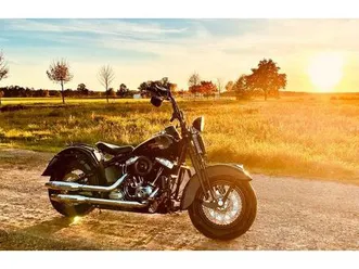 harley-davidson softail cross bones