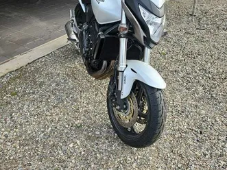 échange hornet contre buell