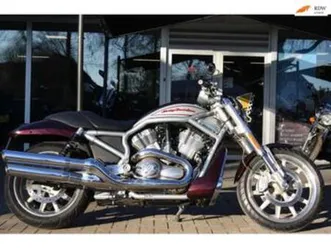 harley davidson chopper vrscr v-rod inruil mogelijk — motoren | harley-davidson — marktplaats