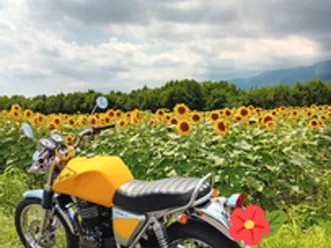 swm scrambler 440 silver vase