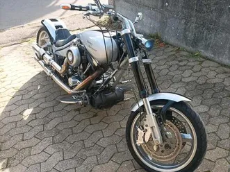 harley davidson coustom bike