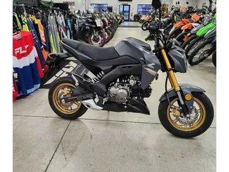 2024 kawasaki z125 pro base