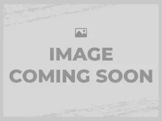 used 2020 suzuki katana 1000