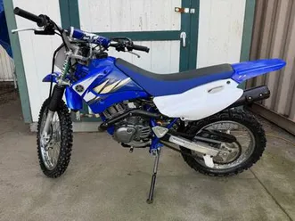 2006 yamaha ttr125le