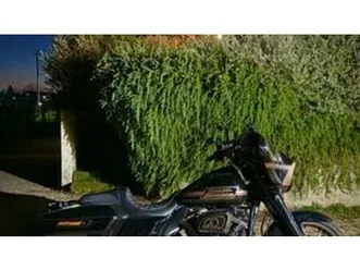 street glide st (2022 - 23)