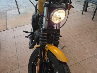 harley 883 iron