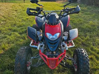 quad 300 schineray