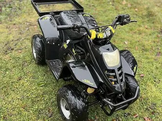 quad 110 canton tessin -