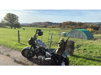 harley davidson sportster 1200