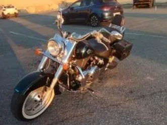 suzuki - intruder