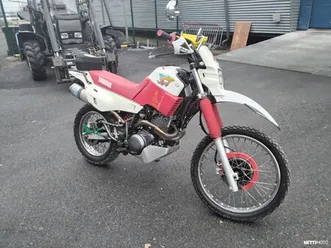 xt 600