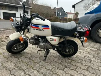 honda monkey ( gorilla)