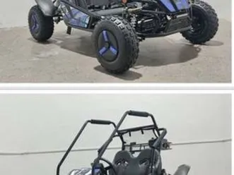 kids 2 seater 125 cc go karts, oil cooled, automatic blue vega imports