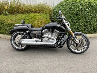 harley-davidson v-rod muscle 1250