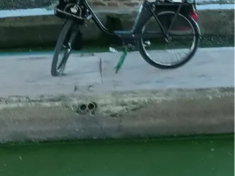 solex 1400 immatriculé