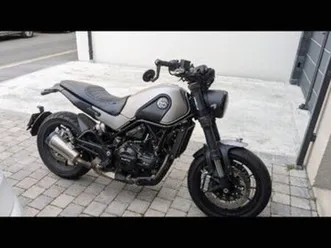 benelli leoncino 500