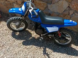 pw 50