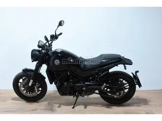 benelli - leoncino 500