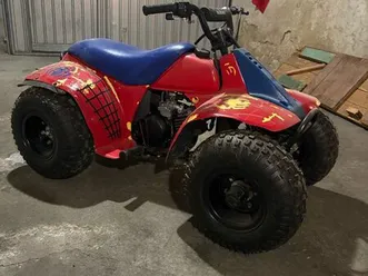 quad suzuki 50 lt