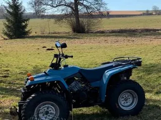 yamaha big bear 350 ccm quad allrad ahk lof zulassung