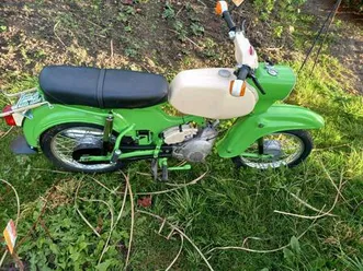 simson habicht